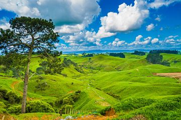 hills in New Zealand by Ivo de Rooij