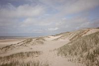 Dune landscape North Sea coast