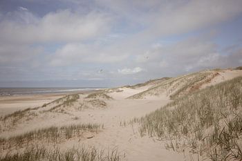 Duinlandschap Noordzee kust