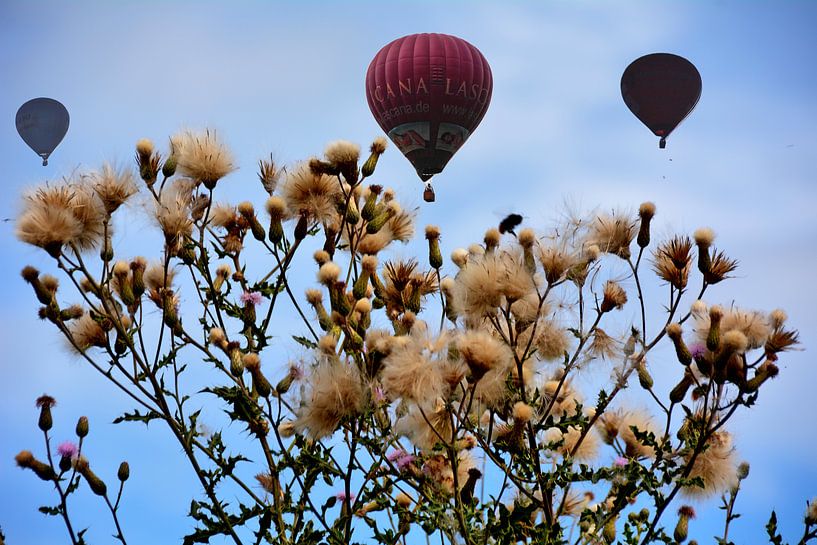 Strauchwolle van Edgar Schermaul