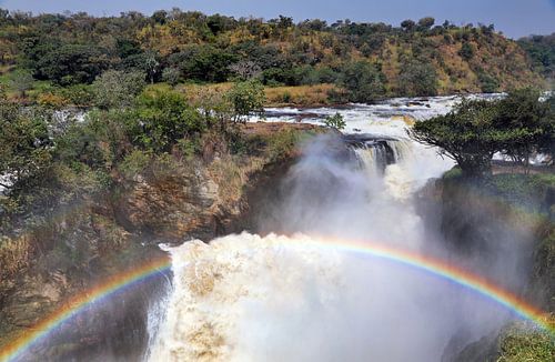 Die Murchison Falls in Uganda