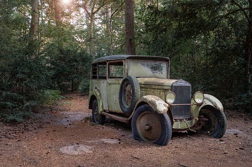 Oldtimer im Wald
