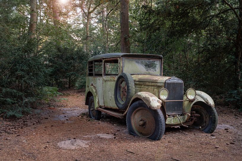 Oldtimer im Wald von Tim Vlielander