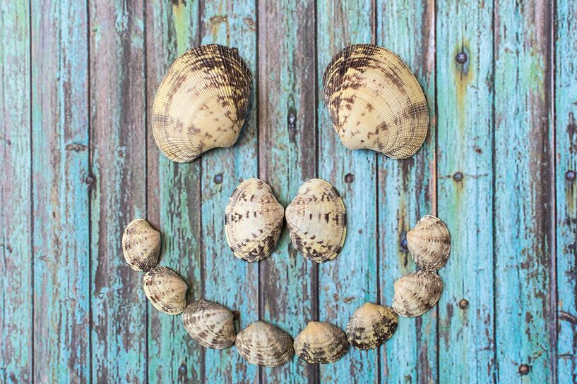 Fröhliches Gesicht von Muscheln auf altem Holz von Lisette Rijkers