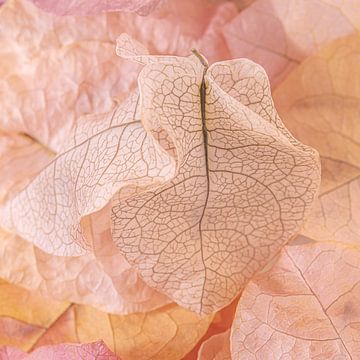 Pastelkleuren: Zachte roze - beige bloemblaadjes van Marjolijn van den Berg