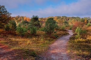 Brunssummerheide von Rob Boon