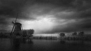 Magisches Kinderdijk in B&W. Ausgezeichnetes Bild.