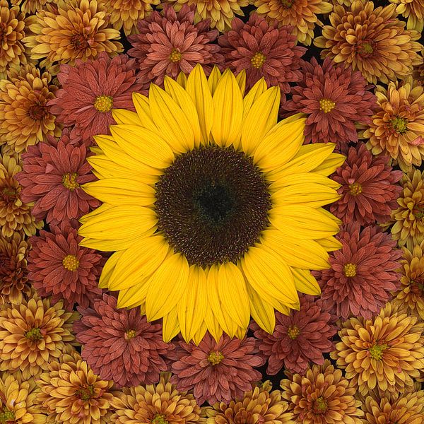 Von Sommer bis Herbst von Elles Rijsdijk