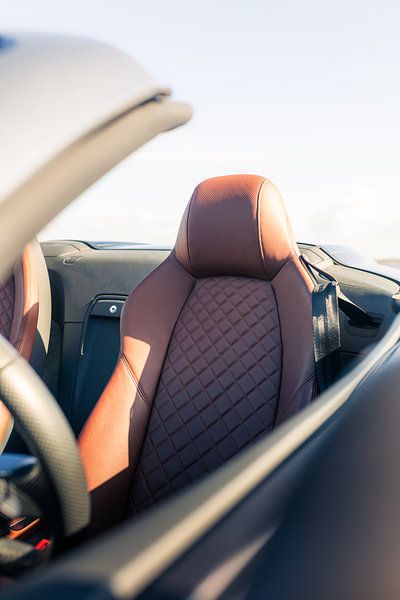 Audi R8 V10 mit atemberaubendem Blick auf den Ozean im Hintergrund von Sebastiaan van 't Hoog