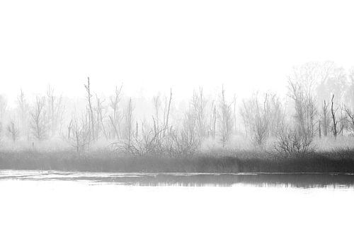 Nevels van Stilte De Peel Griendtsveen