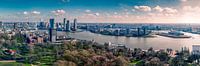 Rotterdam Hollywood style
