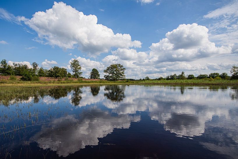 weerspiegeling van Bart Liesenborgs