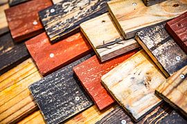 Sonnenbad auf verwittertem Holz von Patrick Kilb