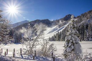 Wintersonne und Schneezauber in Zauchensee