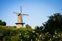 Dutch mill