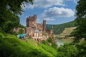 Burg Rheinstein