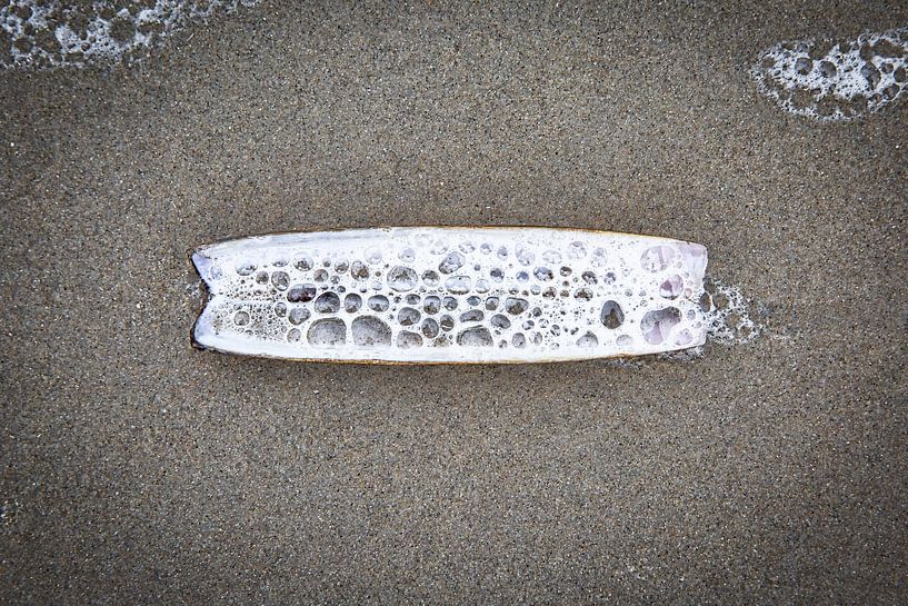 am Strand gestrandet von Ed Dorrestein