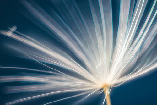 Zwevend in Oneindigheid