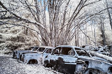 Het mystieke autokerkhof van Båstnäs van Gerry van Roosmalen