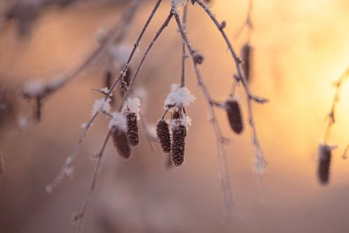 Das kann Winter noch