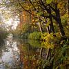 Herfst in Amelisweerd van Pieter Heymeijer