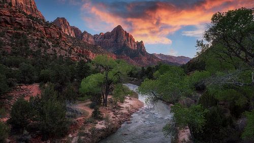 Zion National Park by Photo Wall Decoration
