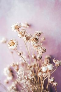 Gentle Purple Mood