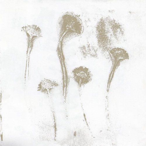 Five flowers in japandi style. Neutral botanical by Dina Dankers
