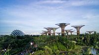 Supertree Grove - Singapore von Raymond Gerritsen Miniaturansicht