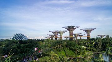 Supertree Grove - Singapore van Raymond Gerritsen
