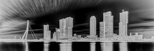 Rotterdam skyline with the head of south by eric van der eijk