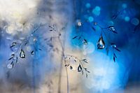 Blue rain