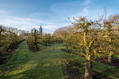 Kerk bij fruitboomgaard