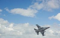F-16 Fighting Falcon Multirole Fighter van Brian Morgan thumbnail