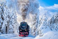 The Harz