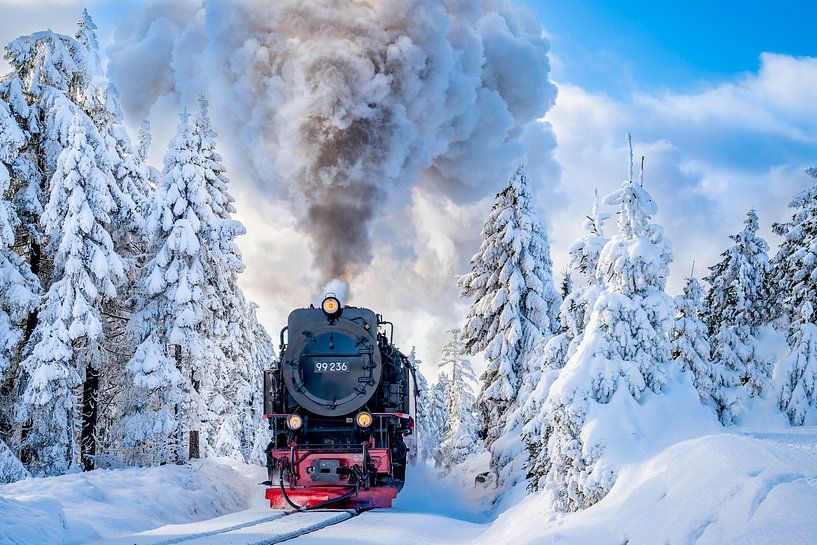 The Harz by Gerrit de Groot
