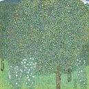 Rosebüsche unter den Bäumen, Gustav Klimt von Meesterlijcke Meesters Miniaturansicht