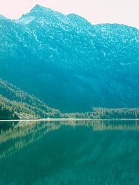 Plansee in de winter