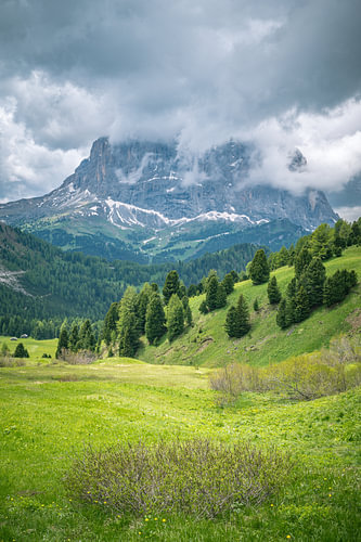Langkofel or Sassolungo mountain group seen from the Gardena Pass by Sjoerd van der Wal Photography