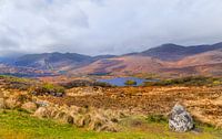 Ladies View, ein Aussichtspunkt entlang des Ring of Kerry im Killarney National Park, Irland. von Mieneke Andeweg-van Rijn Miniaturansicht