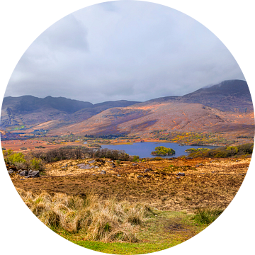 Ladies View, een uitkijkpunt langs de Ring of Kerry  in het Killarney National Park, Ierland. van Mieneke Andeweg-van Rijn