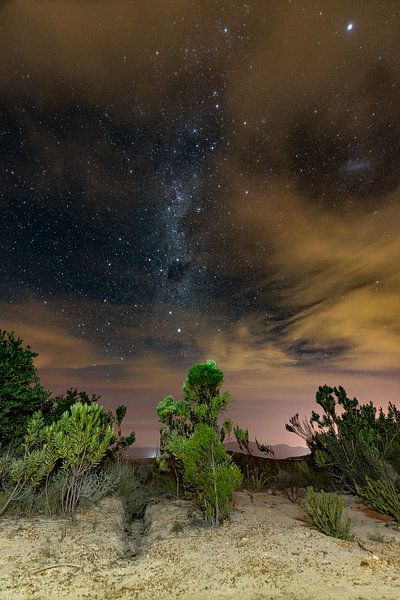 Milky Way over fynbos par Andreas Jansen