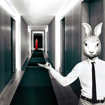 DE PIRAMIDE VAN DE LIEFDE (2015)