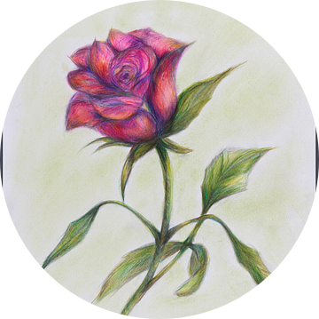 Roze roos. van Ineke de Rijk