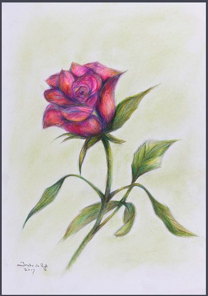 Roze roos. van Ineke de Rijk