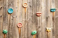 Colourful climbing holds on a wooden wall
