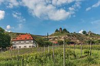 Radebeul, Sachsen van Gunter Kirsch thumbnail