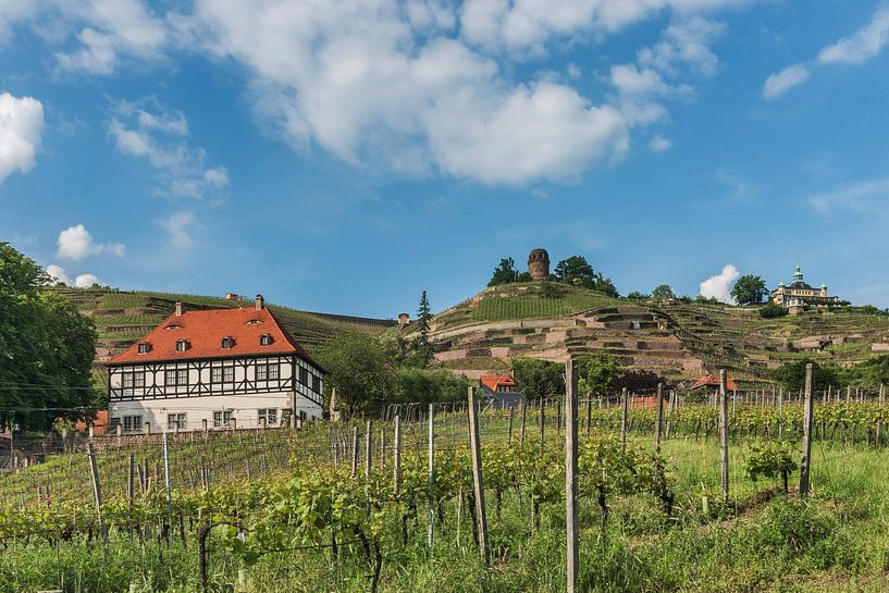 Radebeul, Sachsen van Gunter Kirsch