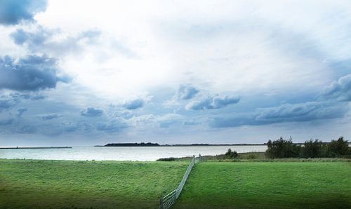 Hollands Licht