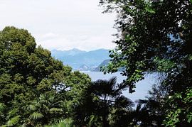 Lago Maggiore, Italië, Lago Maggiore, uitzicht, bergen van Janina S.
